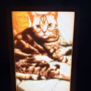 3D打印透光浮雕